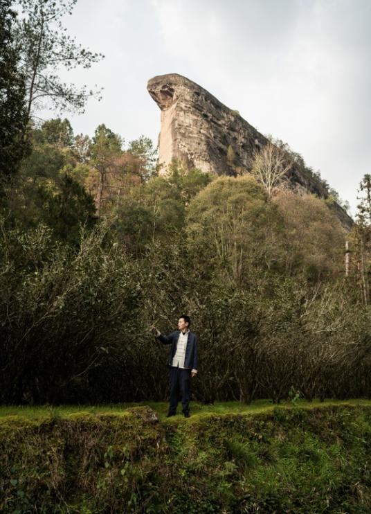 茶农在什么平台上推广茶最有效,茶农如何做好茶叶品牌