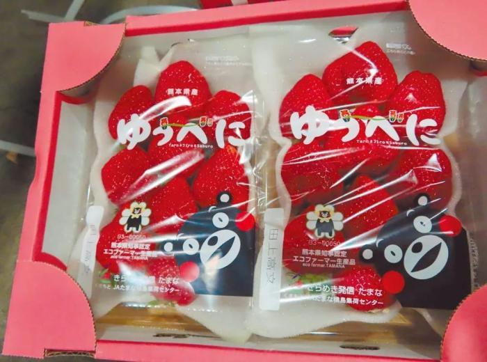 “莱猪”翻版?*进党民**为日本“毒”草莓开方便之门