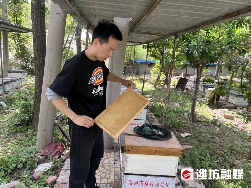 蜂二代营养师直播,蜂二代品牌