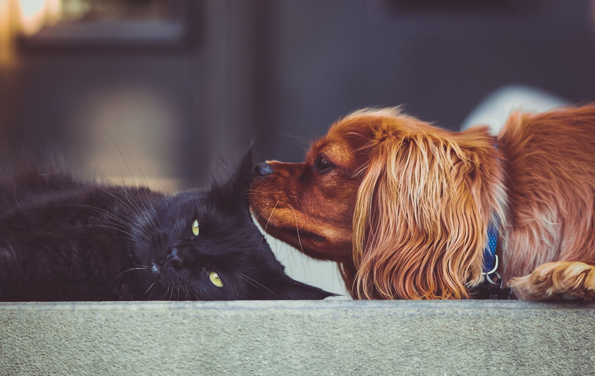 关于中国科学家的科普,关于中国的科学家故事