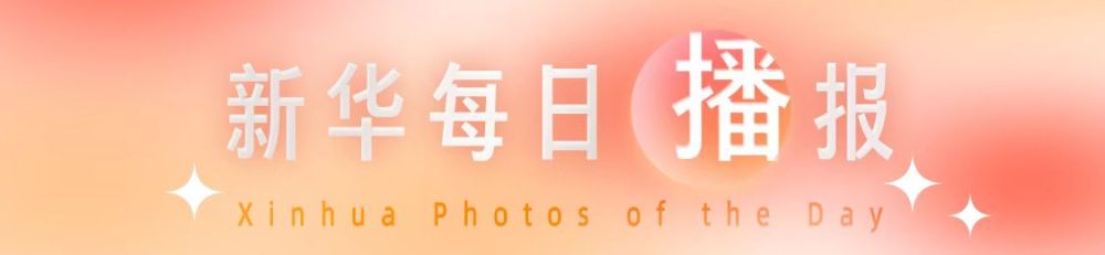 新华每日播报|8月9日