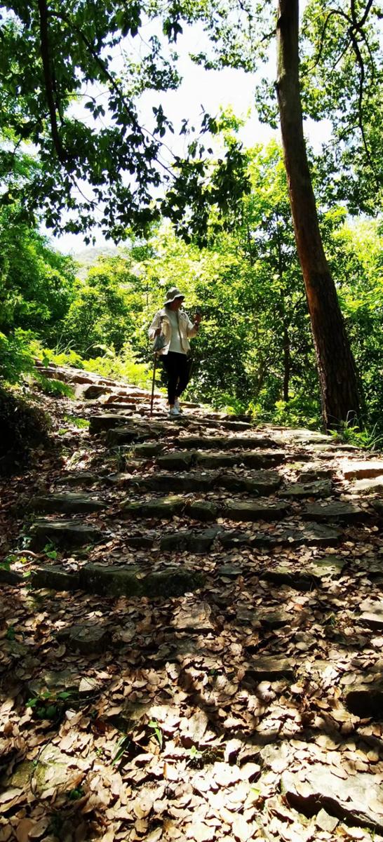 徒步运动爆火出圈！如何才能玩得更加安全畅快？复合型人才建设迫在眉睫