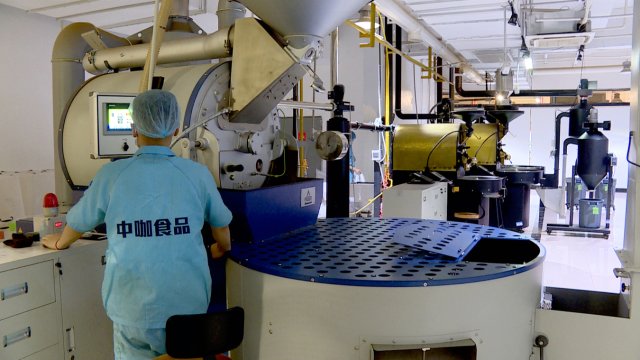 五一来保山体验小粒咖啡品鉴,保山小粒咖啡文化月地点