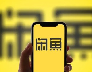 闲鱼新发布通知,闲鱼持续更新