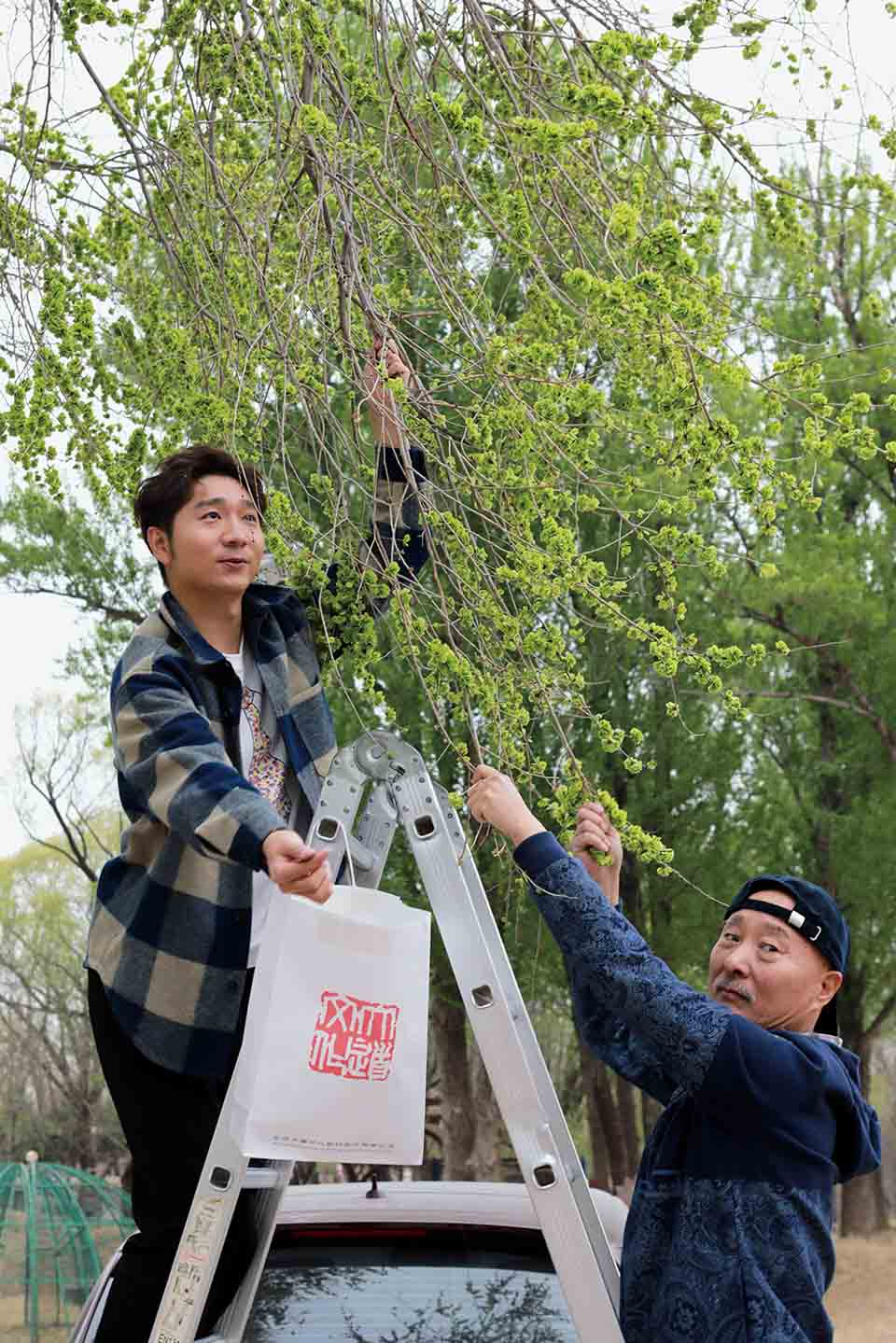 陈佩斯这是一个有规矩的世界,圆桌派陈佩斯笑声是对平等的诉求