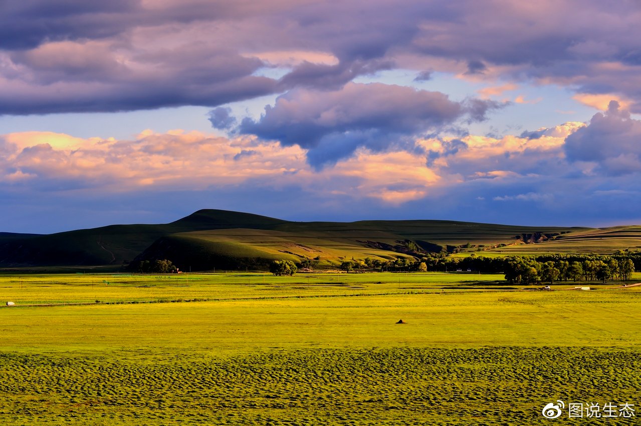 在京北第一天路看遍坝上美景,坝上草原最美天路