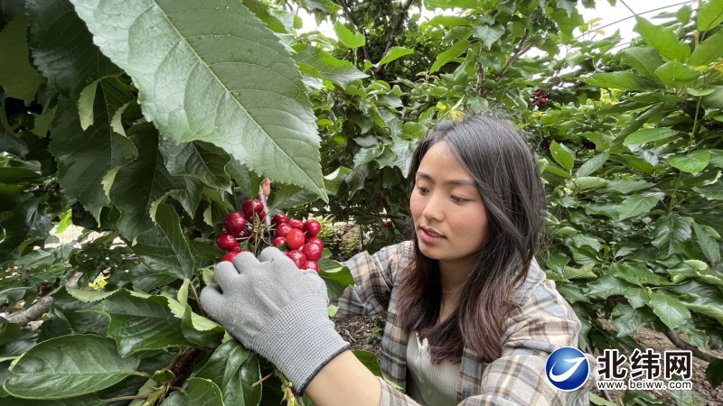 迎难而上做好农村金融服务,打通难点堵点消费扶贫