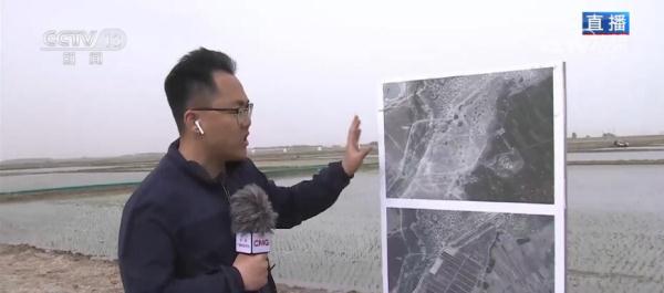 万亩水稻高产,千亩水稻育苗忙育出丰收好苗头