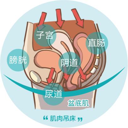 年卡不限次，修复盆底肌，是时候出手了！