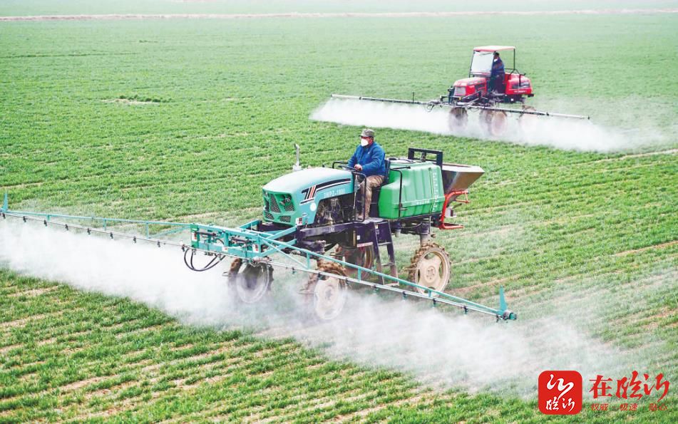 加快建设农业强市推进乡村振兴,新闻乡村振兴五年规划顺利完成