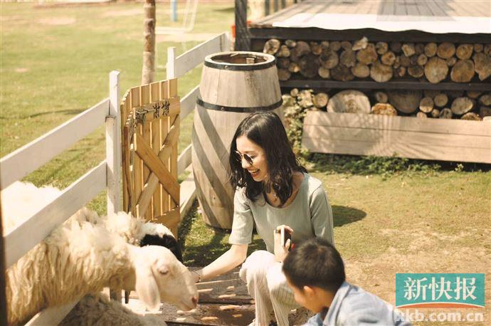 童年游戏多美好,那些记忆里的童年游戏