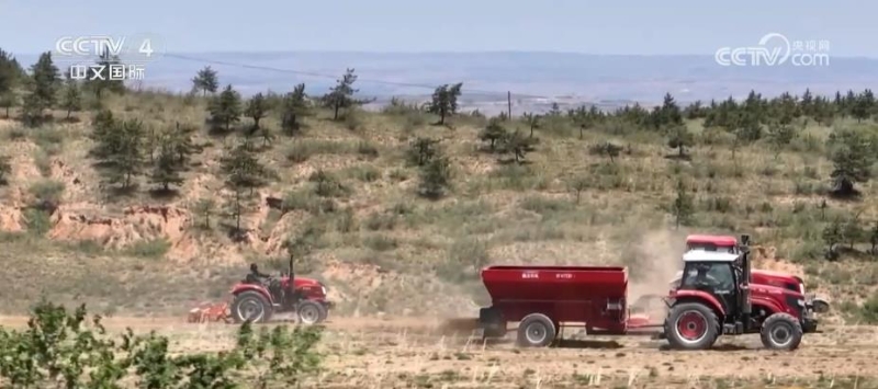 “三跑地”改造成为“三保田”小杂粮种出新希望