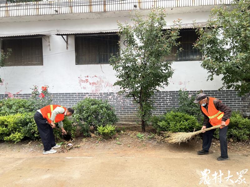 农村生活垃圾处理与乡村振兴,推进农村生活垃圾处理取得的成效