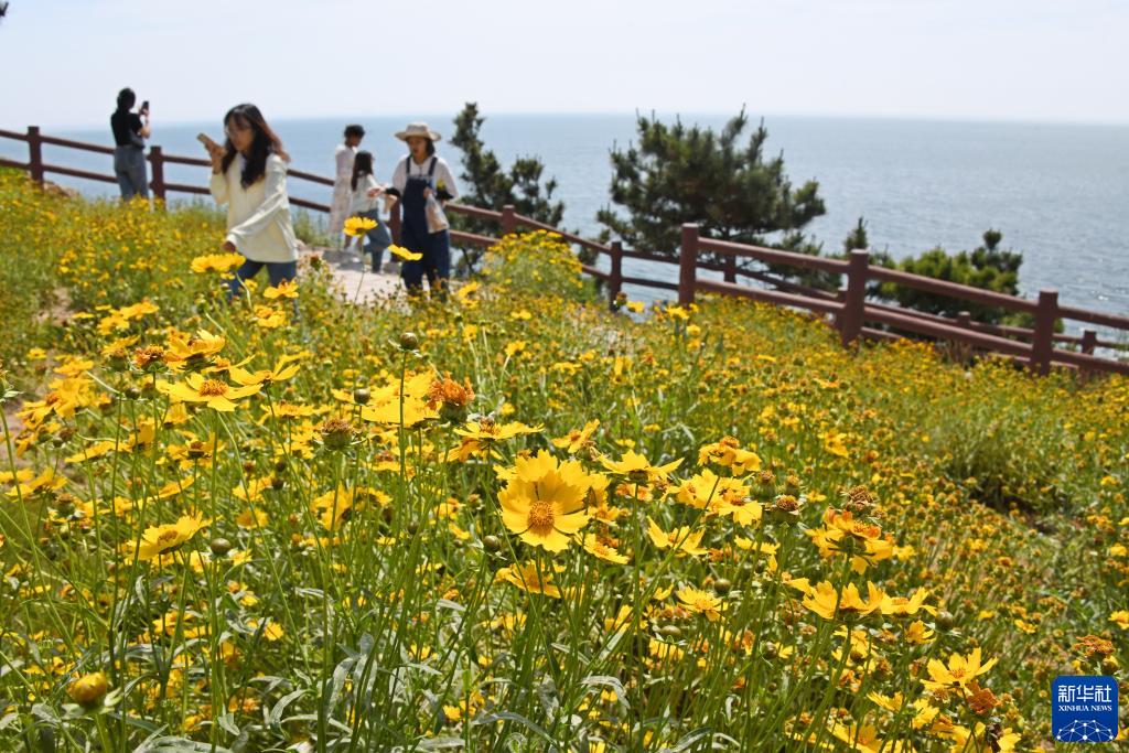灵山岛探秘,山东灵山岛攻略