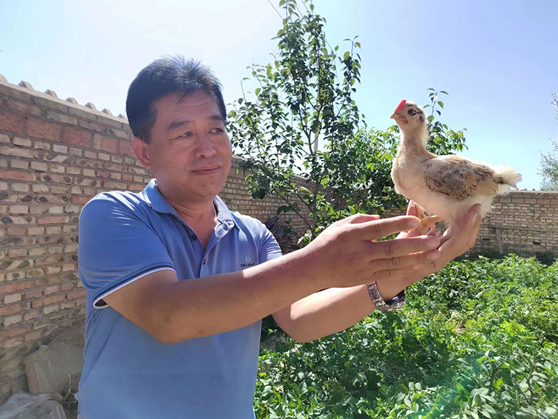 抓牢发展接力棒干出项目加速度,抓牢就业增收促脱贫