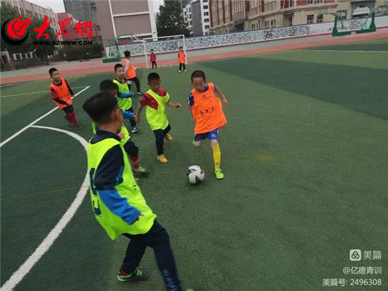 潍坊育才中学足球队,潍坊市奎文区育才小学足球