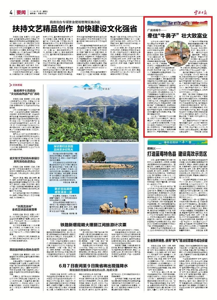 云南日报聚焦文山绿色铝谷正崛起,云南日报关注