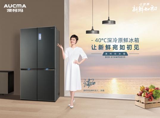 冰箱冷柜澳柯玛,澳柯玛冰箱和冷柜