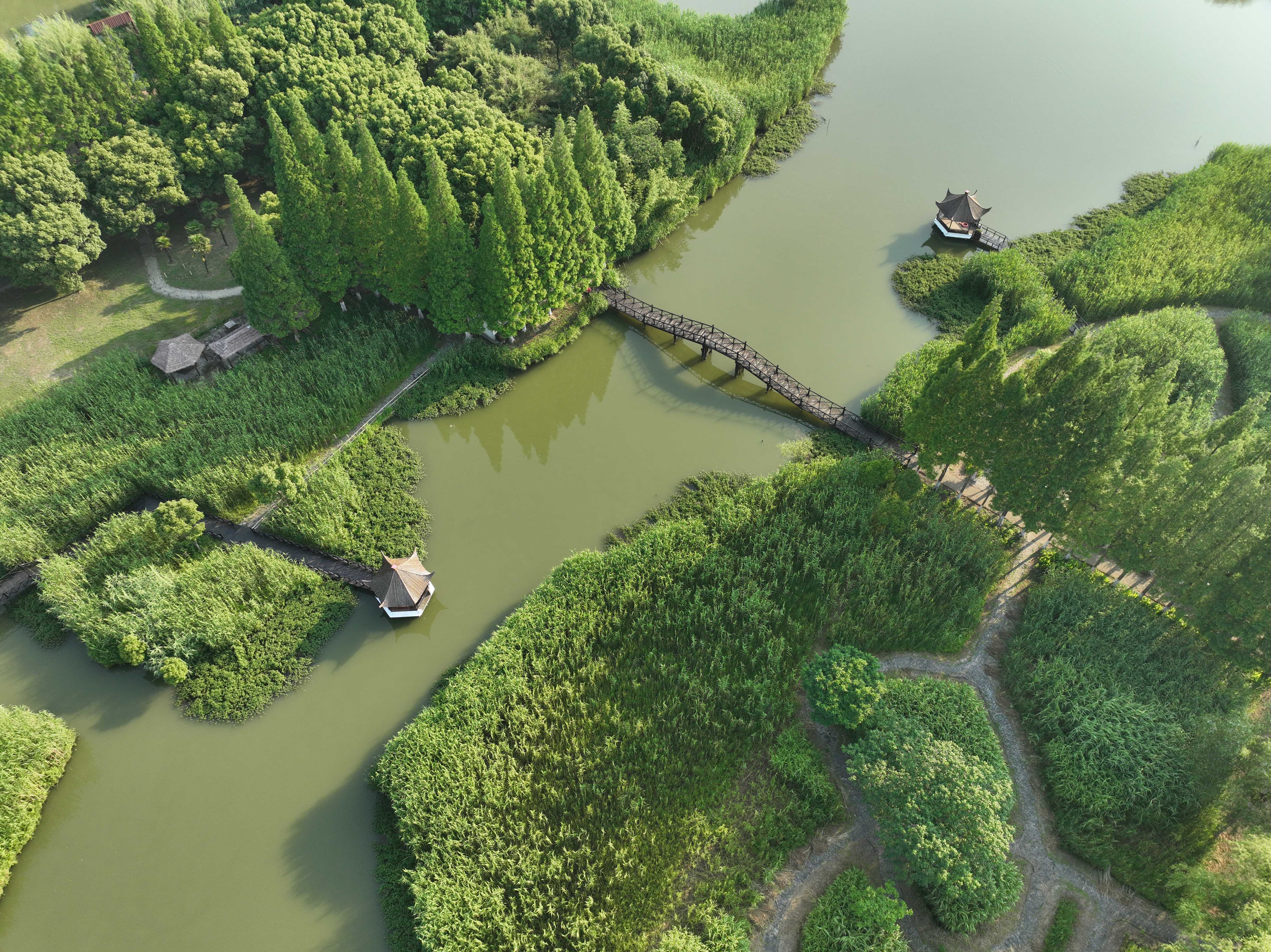 美丽沙家浜,美丽中国江苏常熟沙家浜