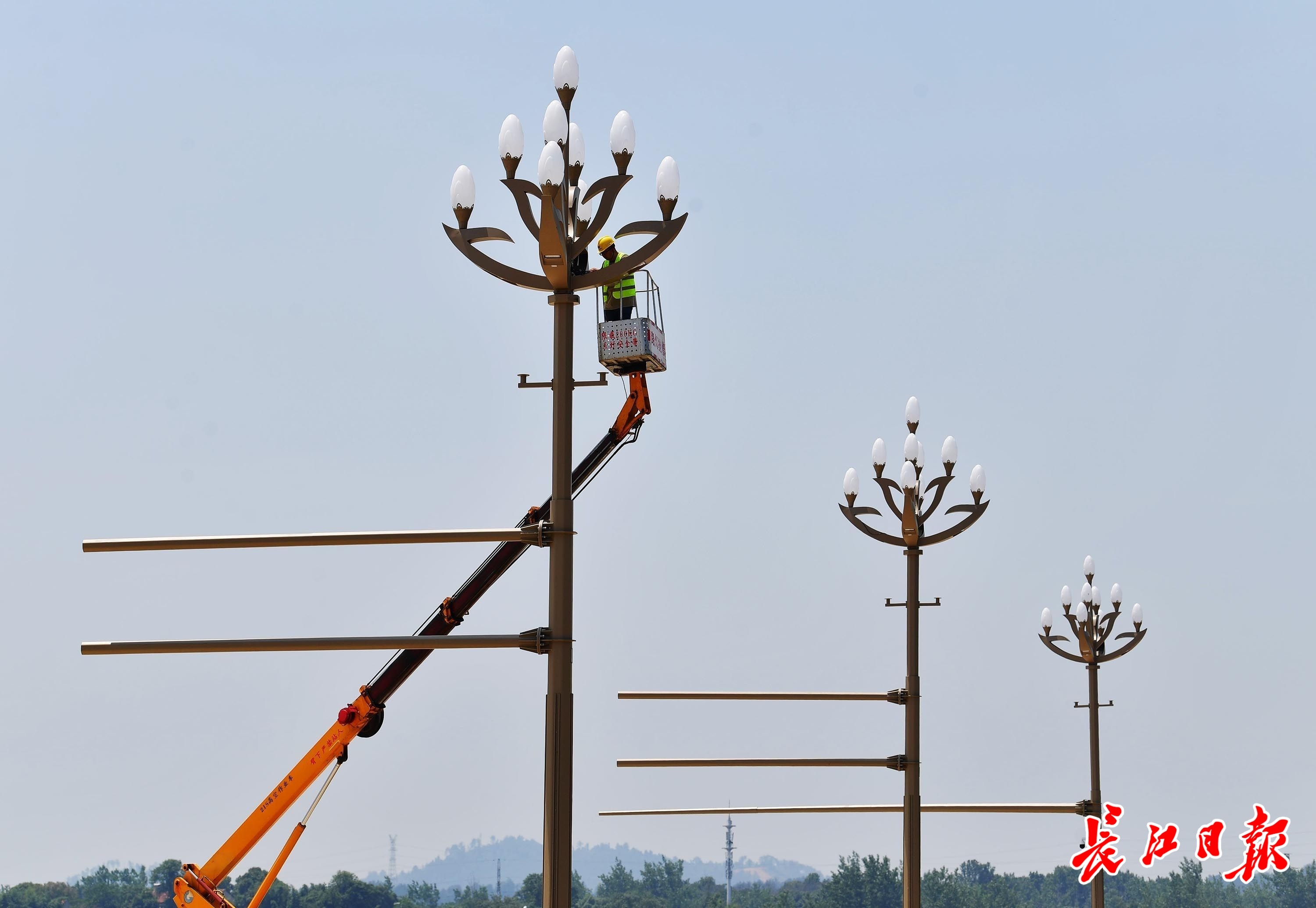 为小动物建通道，江夏多了一条串山连湖的绿色门户大道