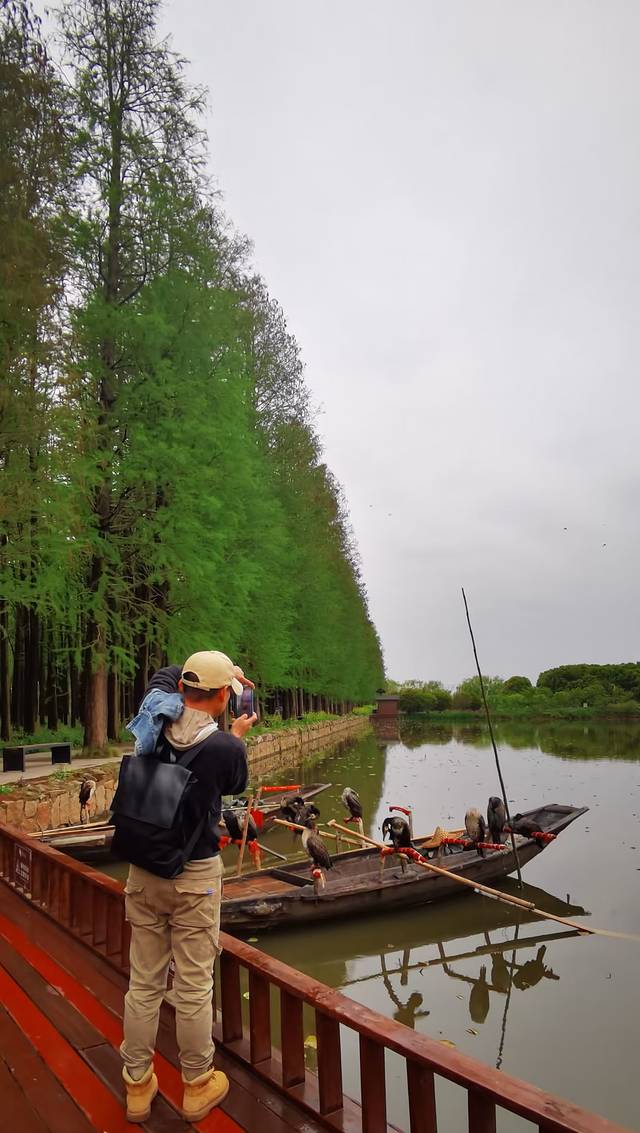 苏中自驾游‖这座城存下了我的一份醉心