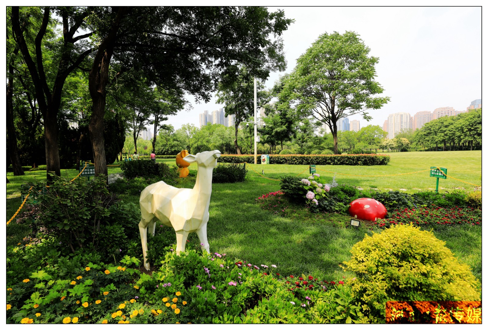 你还没有来过郑州之林？这座空气清新负氧离子爆棚的城市公园值得你来美景打卡