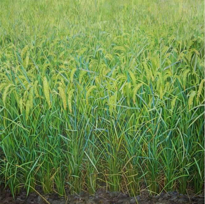 “画·时代”湖北美术学院毕业季开启