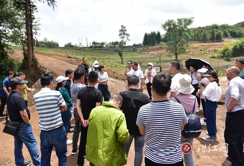 乡村振兴精准找项目,到村调研乡村振兴产业项目