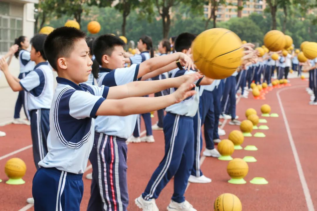 喜讯我校再获一项省级荣誉称号,我市6所学校获国家级表彰