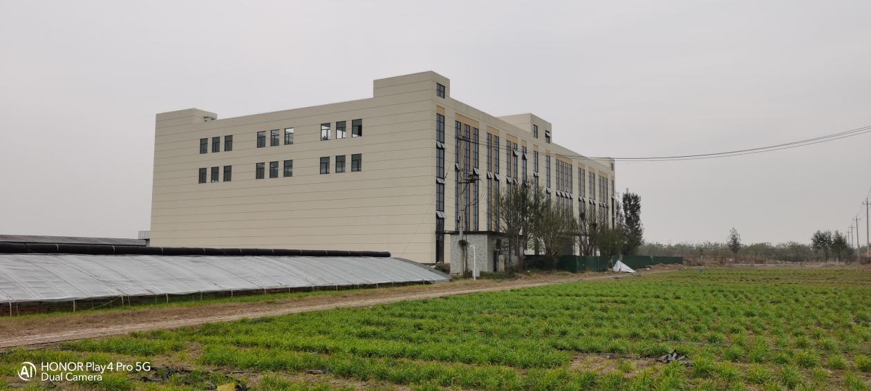 乡村振兴的精彩好句子,乡村振兴简单话语