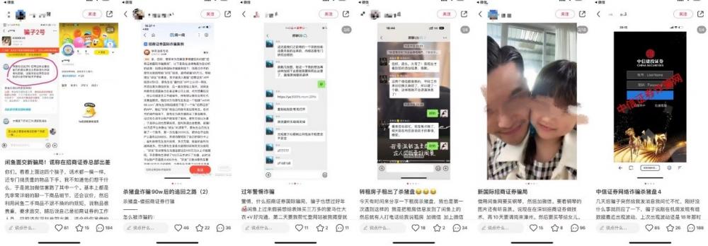 新型杀猪盘盯准房东媒体剖析,杀猪盘房东租客骗局