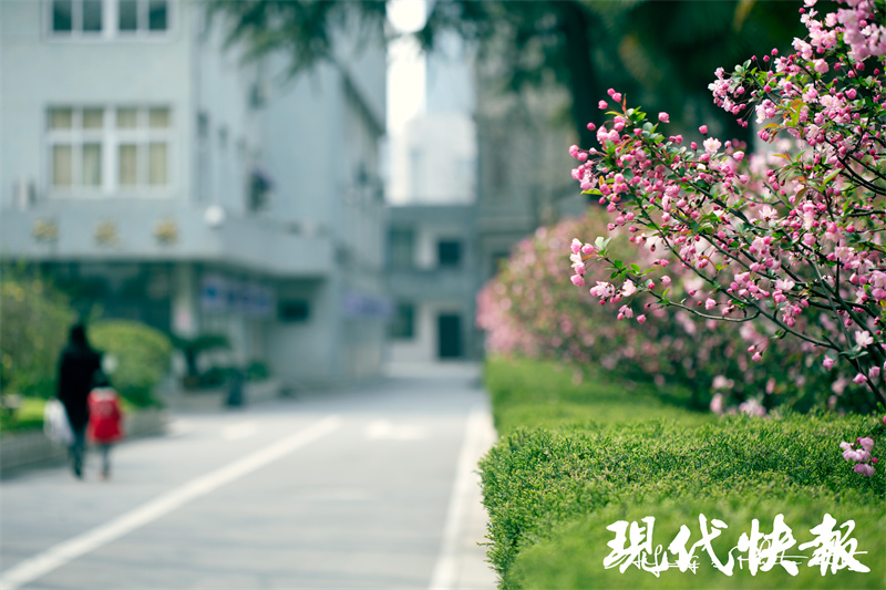 南京九中两个校区,南京九中新校区规划