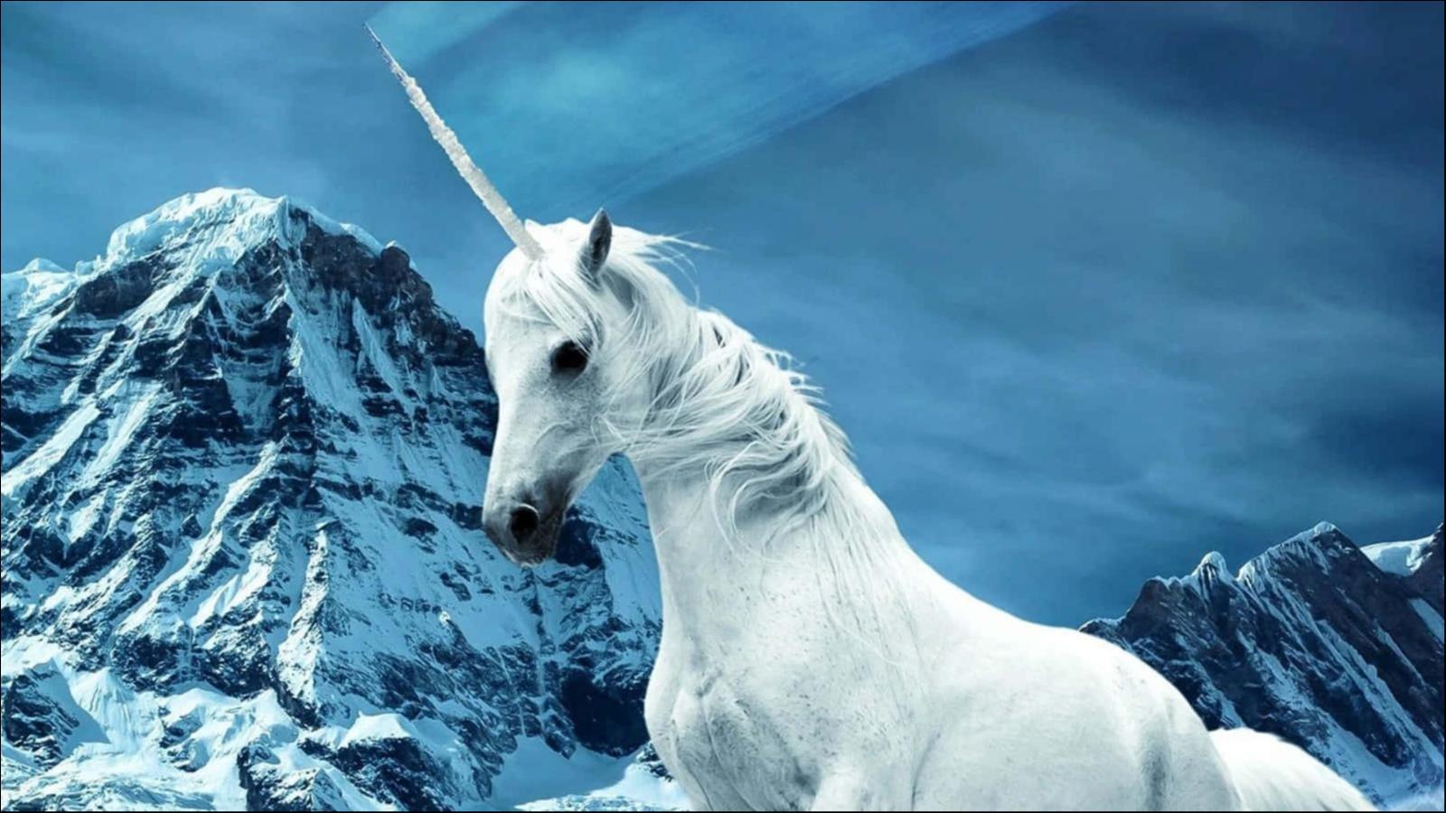 独角兽企业融资难,中国的独角兽企业融资难