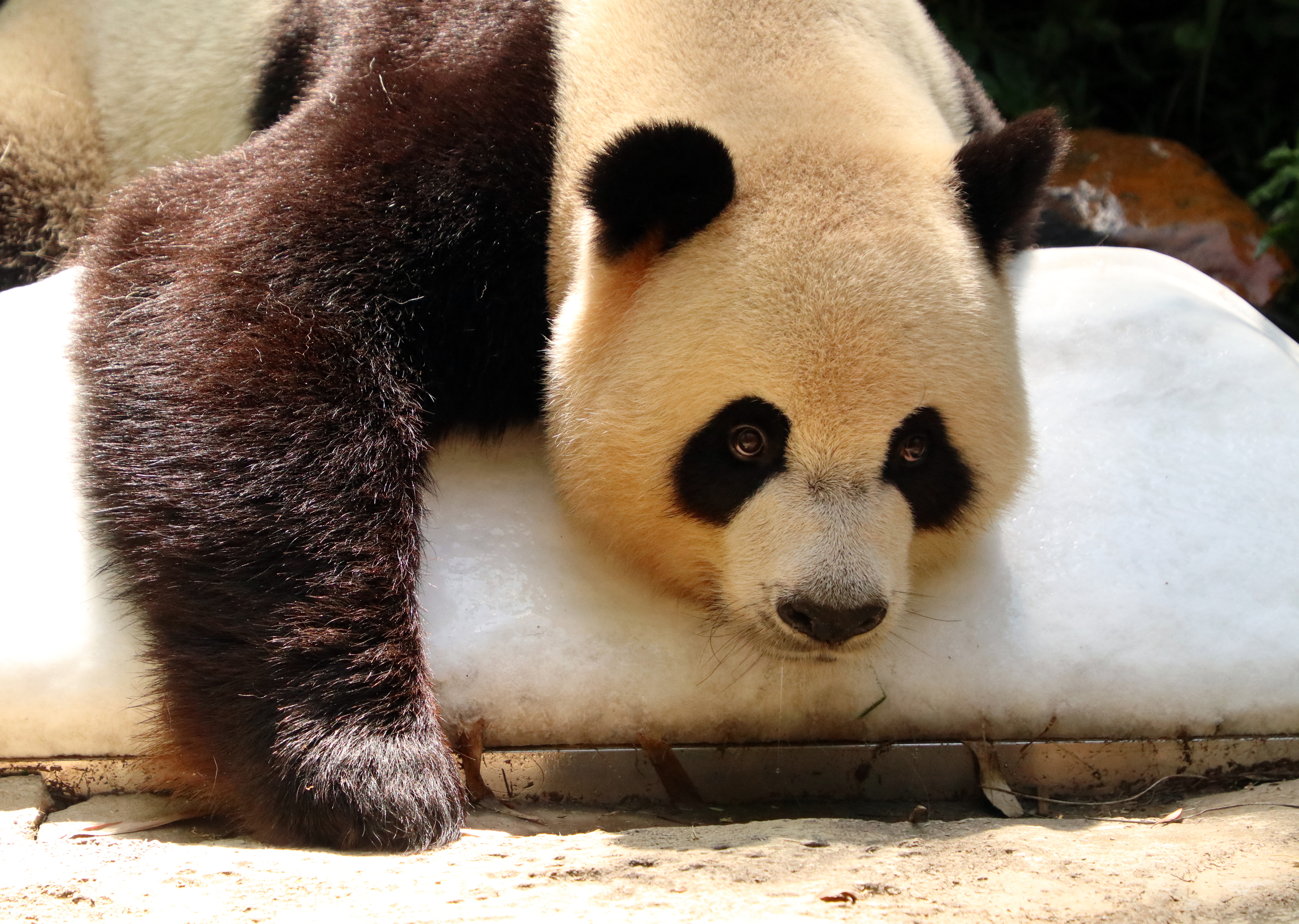 防中暑宝典,高温防中暑宝典