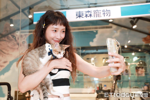 黄云歆替爱猫明太子接生! 产程见「血包卡阴道」超惊险