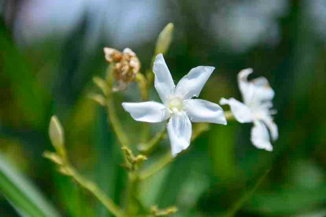 在云南有一种旅行叫做风景在路上,昆明适合一个人静静的小众打卡地