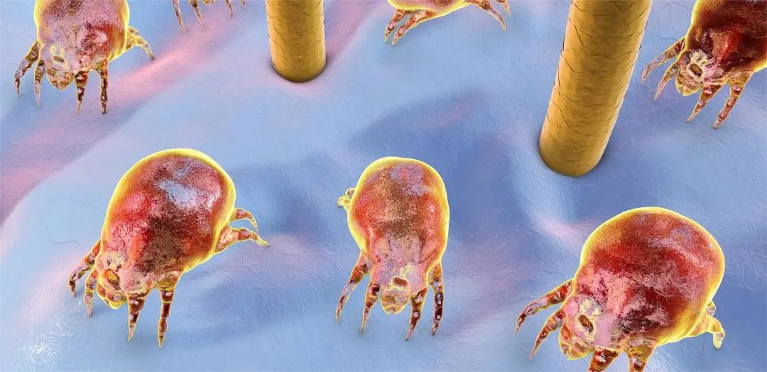 枕头用久了发黄怎么办,枕头容易臭怎么办