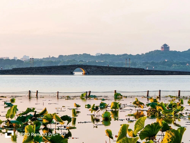 真的假的？居然有人活在了“仙境”里