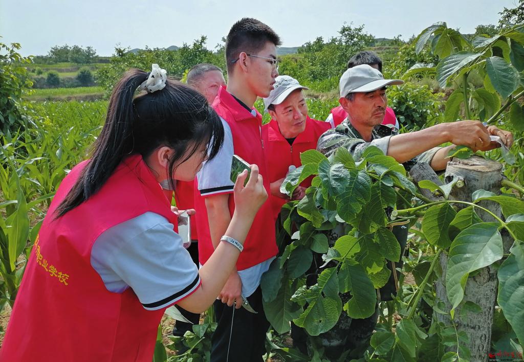 阳城县河道治理工程,阳城县后河巷河道治理