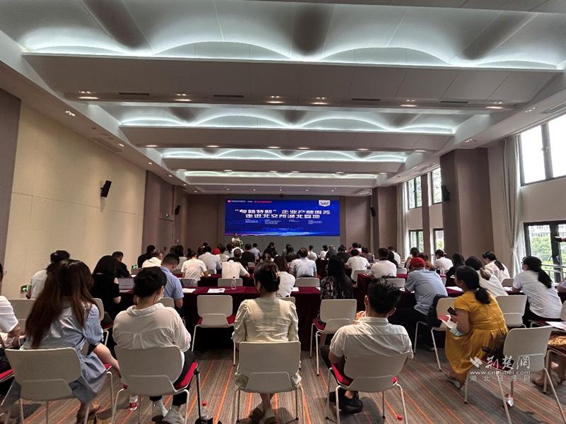 武汉市东西湖区专精特新企业,武汉市专精特新申报条件