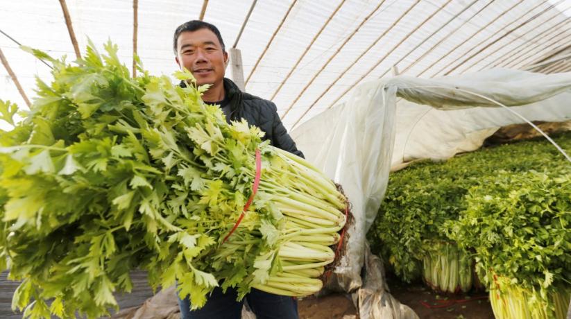 为“更好潍坊”建好质量“底座”