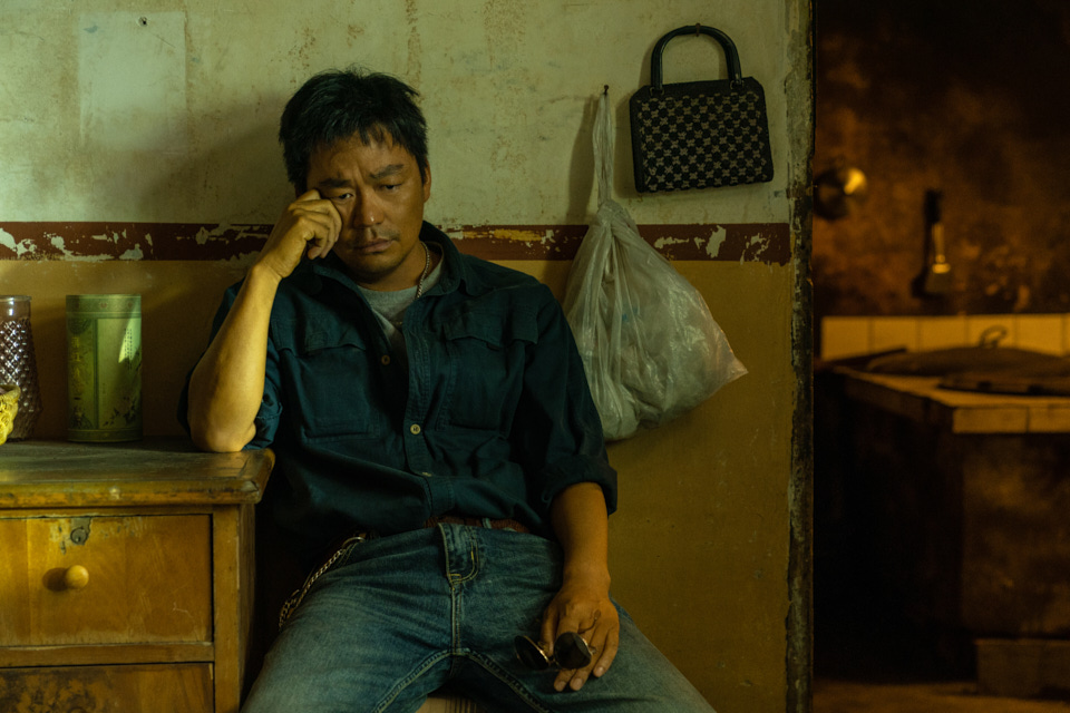 王宝强：被生活“击倒”后的六年,王宝强遭遇的挫折