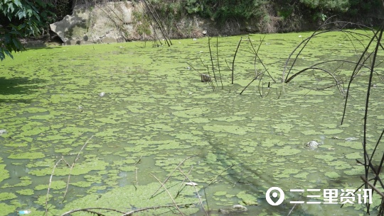 灏忛噷甯繖,灏忛噷甯繖鏄暐