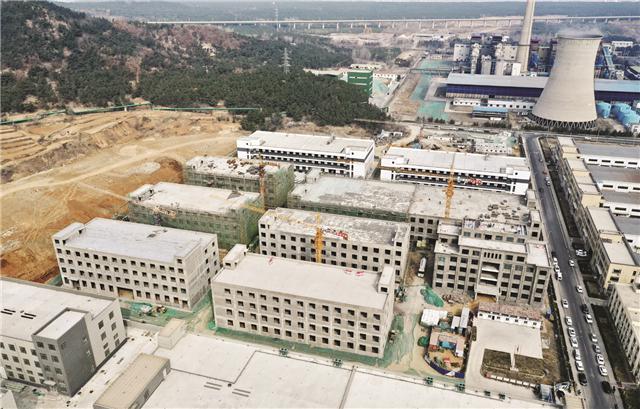 威海营商行品牌,威海营商行活动