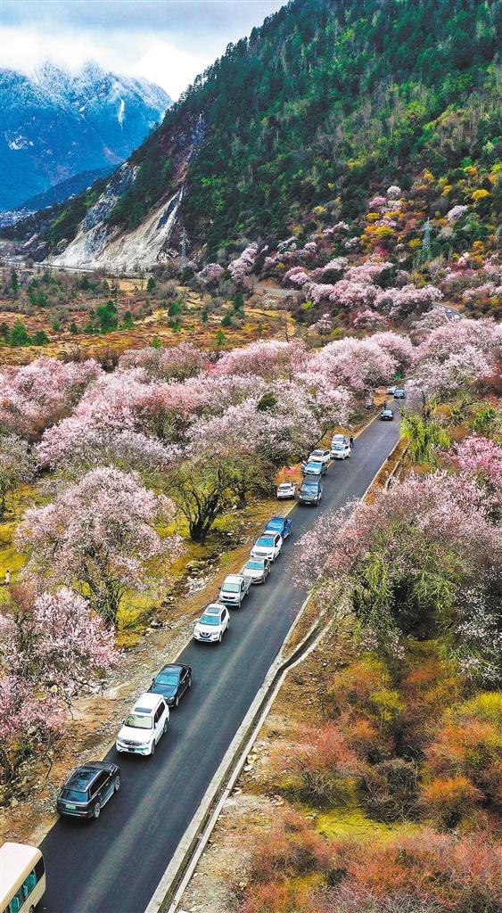 西藏林芝生态旅游节,西藏林芝雅鲁藏布生态文化