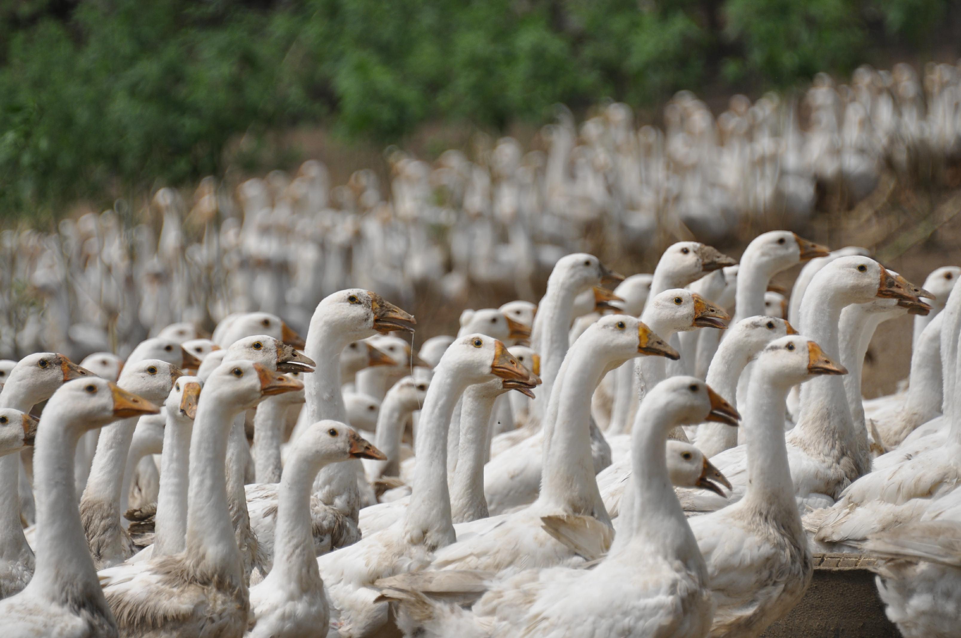 味蕾珠海金湾门店,味蕾齐齐哈尔