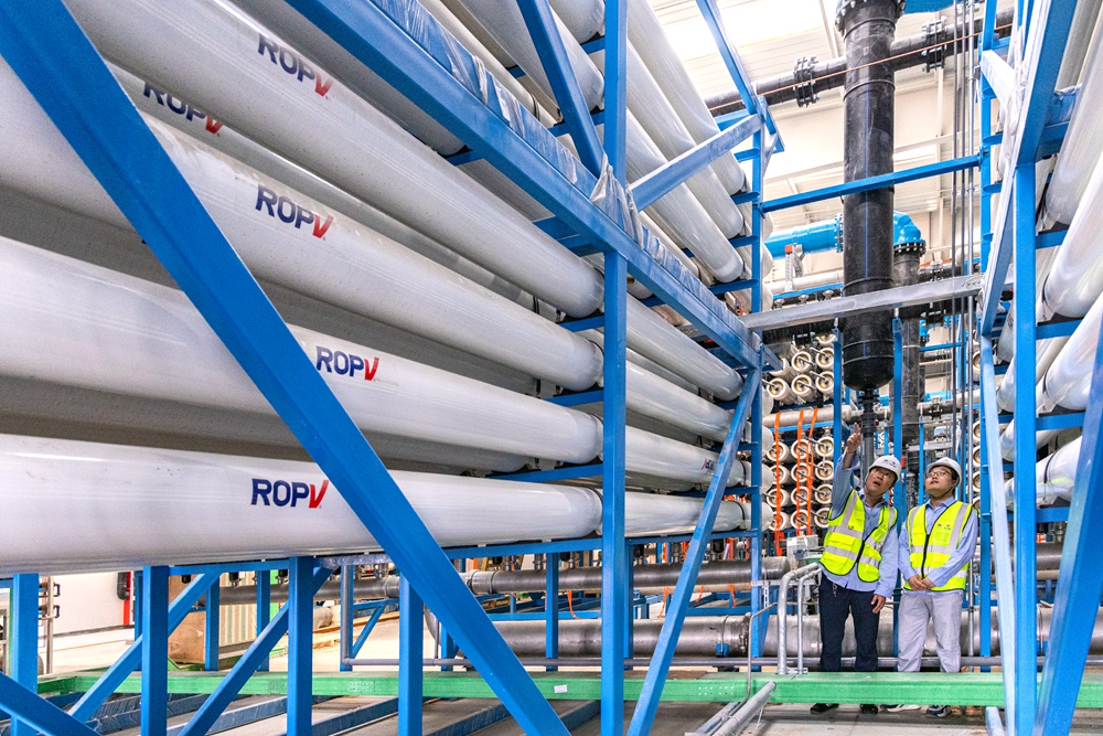 缁垮姩闈掑矝,缁垮姩榻愰瞾