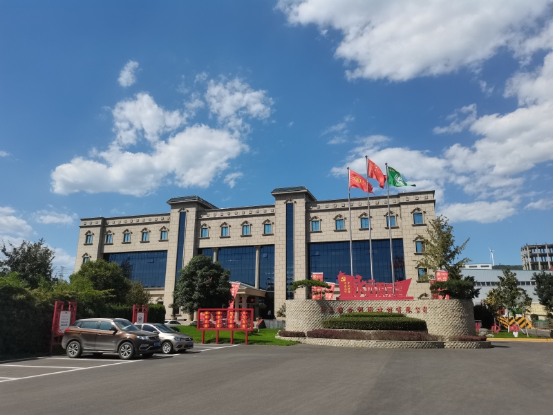 洛阳绿色发展前景,偃师市城市建设提质