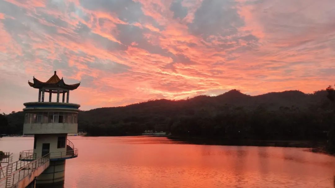 不止“村BA”！东莞10条好看好逛的线路，本地人也爱去