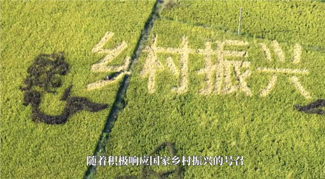 华润万家39周年西二环店活动,华润39周年活动